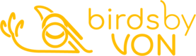 Birds by Von