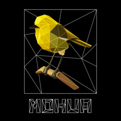 Mohua Polygon 3D - Womens Maple Tee Design