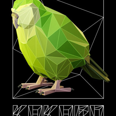 Polygon Birds Thumbnail